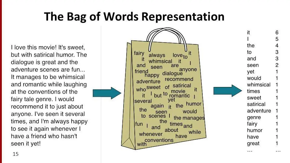 The Bag of Words Representation The Bag of Words Representation