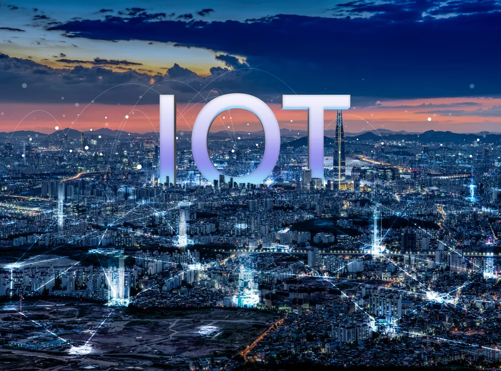 banner image