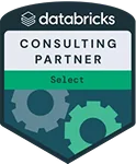 Databricks Consulting Partner