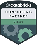 Databricks Consulting Partner