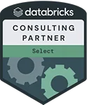 Databricks Consulting Partner